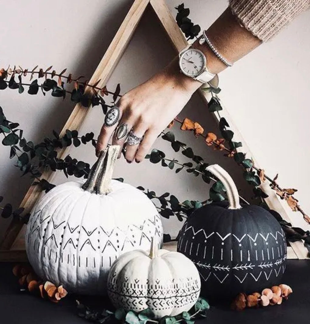 Fall & Harvest