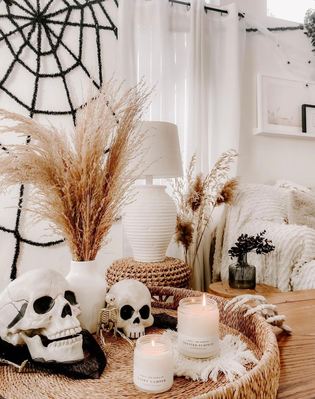 Fall & Harvest
