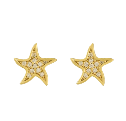 NORTH STAR EARRINGS